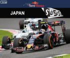Карлос Сайнс-мл., Гран-при Японии 2016